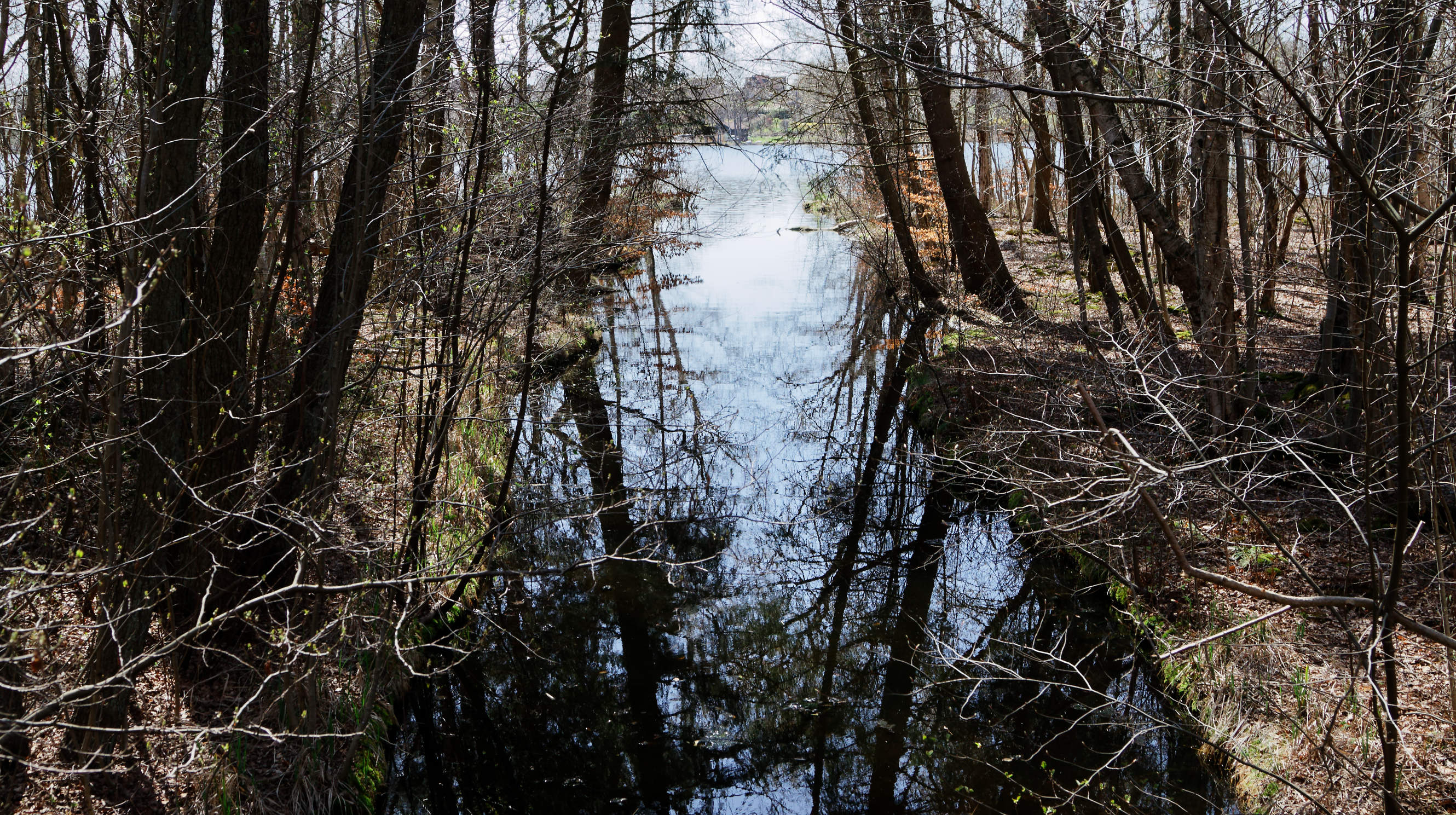 20210420 Lyngby Sø 49